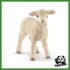 FARM - AGNELLO