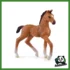 HORSE - PULEDRO OLDENBURG