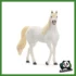 HORSE - GIUMENTA ARABA