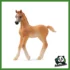 HORSE - PULEDRO ARABO