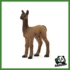 FARM - CUCCIOLO DI LAMA