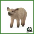 FARM - MAIALAINO MANGALICA