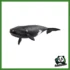 WILD - BALENA FRANCA NORDAFRICANA