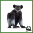 WILD - INDRI