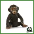 WILD - PICCOLO DI SCIMPANZE'