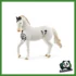 HORSE - STALLONE MARWARI