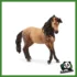 HORSE - GIUMENTA ANDALUSA