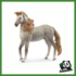 HORSE - STALLONE ANDALUSO