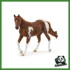 HORSE - GIUMENTA PAINT HORSE