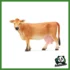 FARM - MUCCA JERSEY