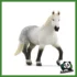 FARM - GIUMENTA PERCHERON