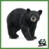 WILD - ORSO NERO AMERICANO