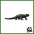 WILD - SALAMANDRA PEZZATA