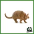 WILD - ARMADILLO