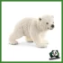 WILD - CUCCIOLO DI ORSO POLARE CHE CAMMINA