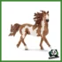 FARM - STALLONE PINTO