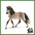 HORSE - GIUMENTA ANDALUSA