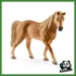FARM - GIUMENTA TENNESSE WALKER