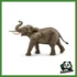 WILD - ELEFANTE AFRICANO MASCHIO
