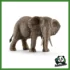 WILD - FEMMINA DI ELEFANTE AFRICANO