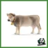 FARM - MUCCA BRUNA