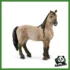 HORSE - GIUMENTA CRIOLLO