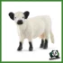 FARM - MUCCA GALLOWAY