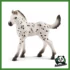 HORSE - PULEDRO KNABSTRUPPER