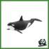 WILD - ORCA