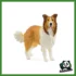 FARM - COLLIE