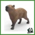 WILD - CAPIBARA