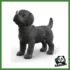 FARM - CUCCIOLO DI LABRADOR RETRIEVER NERO