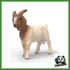 FARM - CAPRA BOERA