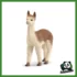 FARM - ALPACA