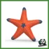 WILD - STELLA MARINA CHE CAMBIA COLORE