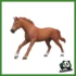 HORSE - STALLONE PUROSANGUE INGLESE