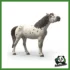 HORSE - CASTRONE KNABSTRUPPER