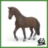 HORSE - CASTRONE KWPN