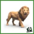 WILD - LEONE AFRICANO