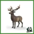 WILD - CERVO ROSSO AMERICANO