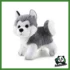 SWEET COLLECTION - HUSKY