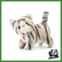 SWEET COLLECTION - GATTINO BRAD
