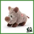 SWEET COLLECTION - CINGHIALE