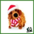 NATALE - BASSOTTO NATALE