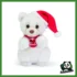 NATALE - ORSO NATALE