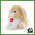 THE PUPPIES - CONIGLIO