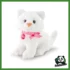 SWEET COLLECTION - GATTINO