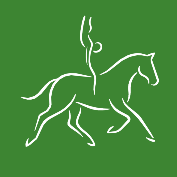 volteggio