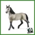 GIUMENTA CHEVAL DE SELLE FRANCAIS (5)