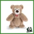 Orso Bruno  -